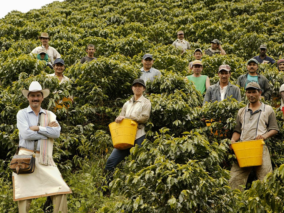 colombia-pickers